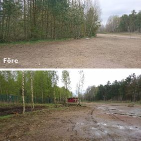Före och efter